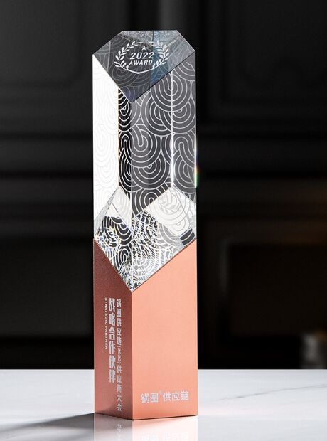 Crystal Award: Faceted Crystal Prism with Bronze Base
