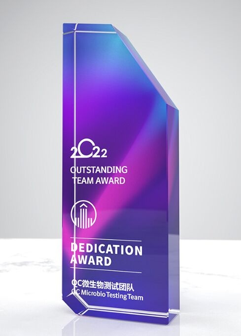 Geometric Prism Purple Gradient Crystal Award