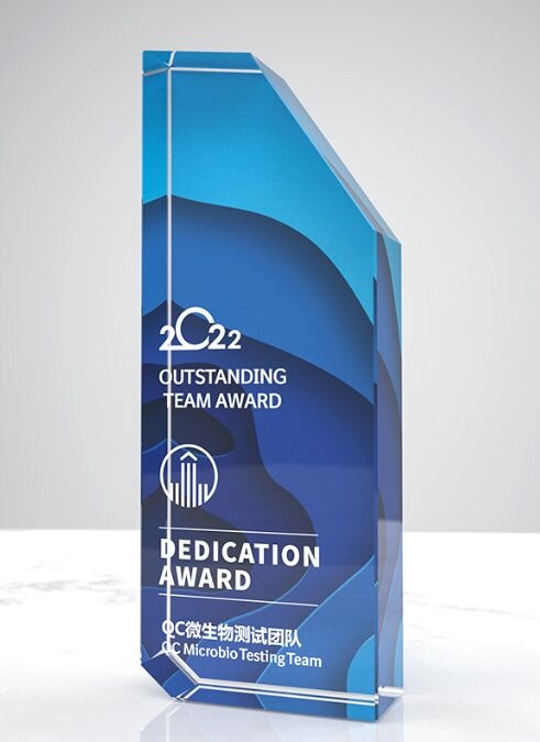 Blue Angled Crystal Award