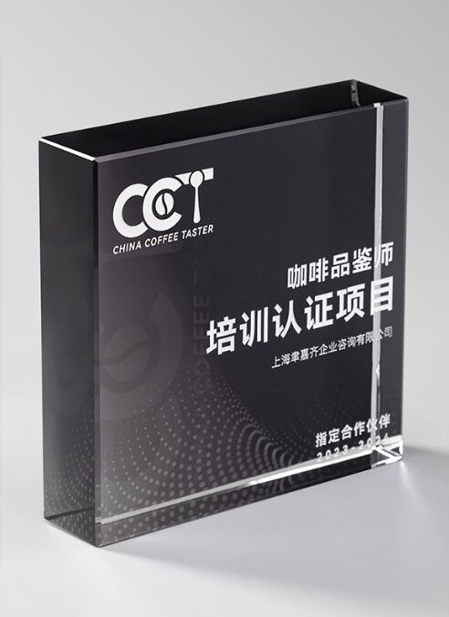 Rectangular Black & Clear Crystal Award