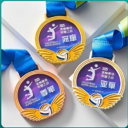 Volleyball Super League Medals