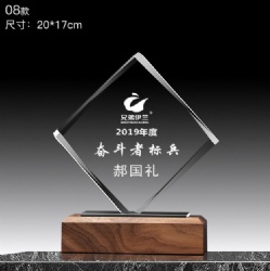 2019 Struggle Champion Crystal Award with Walnut Base