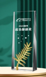 Gold Leaf Crystal Award with Stars