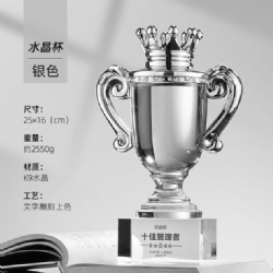 Silver Goblet Crown Crystal Award