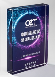 Rectangular Prism Blue and Purple Crystal Award