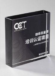 Rectangular Black & Clear Crystal Award