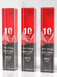 Red and Gray Rectangular Crystal Award