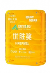 Yellow Rectangular Crystal Award