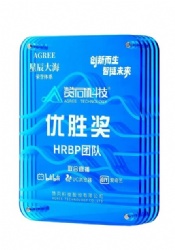 Blue Rectangular Crystal Award