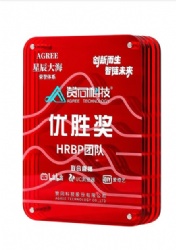 Rectangular Red Crystal Award