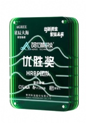 Crystal Award - Green Acrylic Rectangle