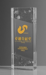 Gold Logo & Rectangular Crystal Award
