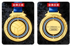 Custom Volleyball Circle Medal