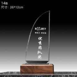 MCH14 crystal award