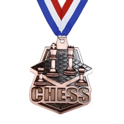 Bronze Chess Medal