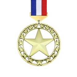 Gold Star Medal