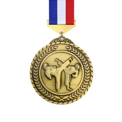 Gold Karate Combat Medal