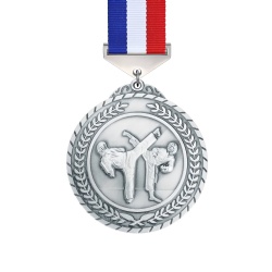 Silver Karate Combat Medal