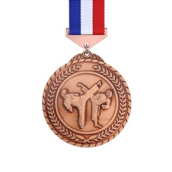 Round Bronze Martial Arts Medal