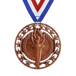 Bronze Torch and Stars Medal