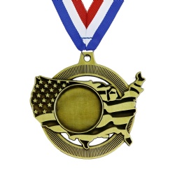 Gold United States Map Medal