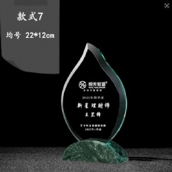 CHHA07 crystal award