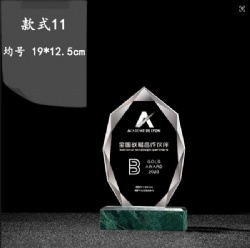 CHHA11 crystal award