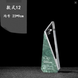 CHHA12 crystal award