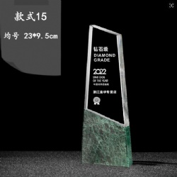 CHHA15 crystal award