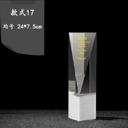 CHHA17 crystal award