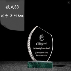 CHHA33 crystal award