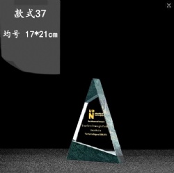 CHHA37 crystal award