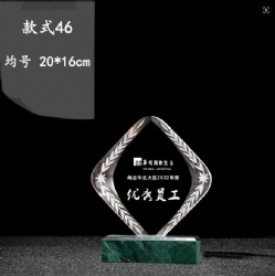 CHHA46 crystal award