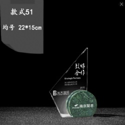 CHHA51 crystal award