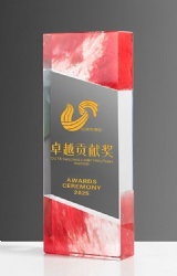 Rectangular Red and Transparent Crystal Award